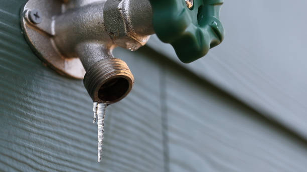 Best Plumbing Inspection Services  in Salisbury, MO